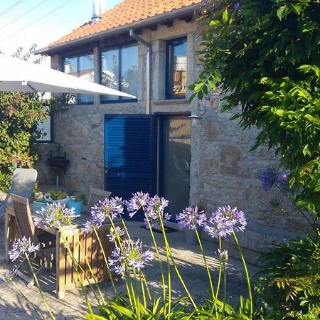 Casinha Nº461 Villa Vila Praia de Âncora Eksteriør billede