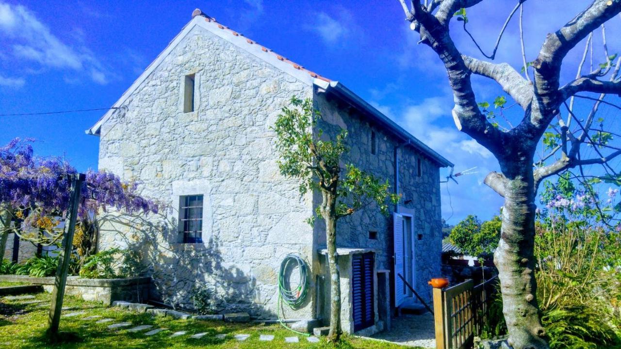 Casinha Nº461 Villa Vila Praia de Âncora Eksteriør billede