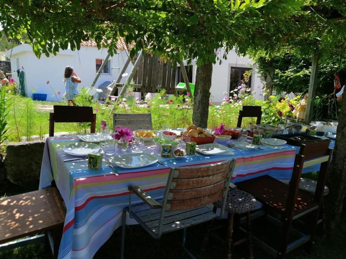 Casinha Nº461 Villa Vila Praia de Âncora Eksteriør billede