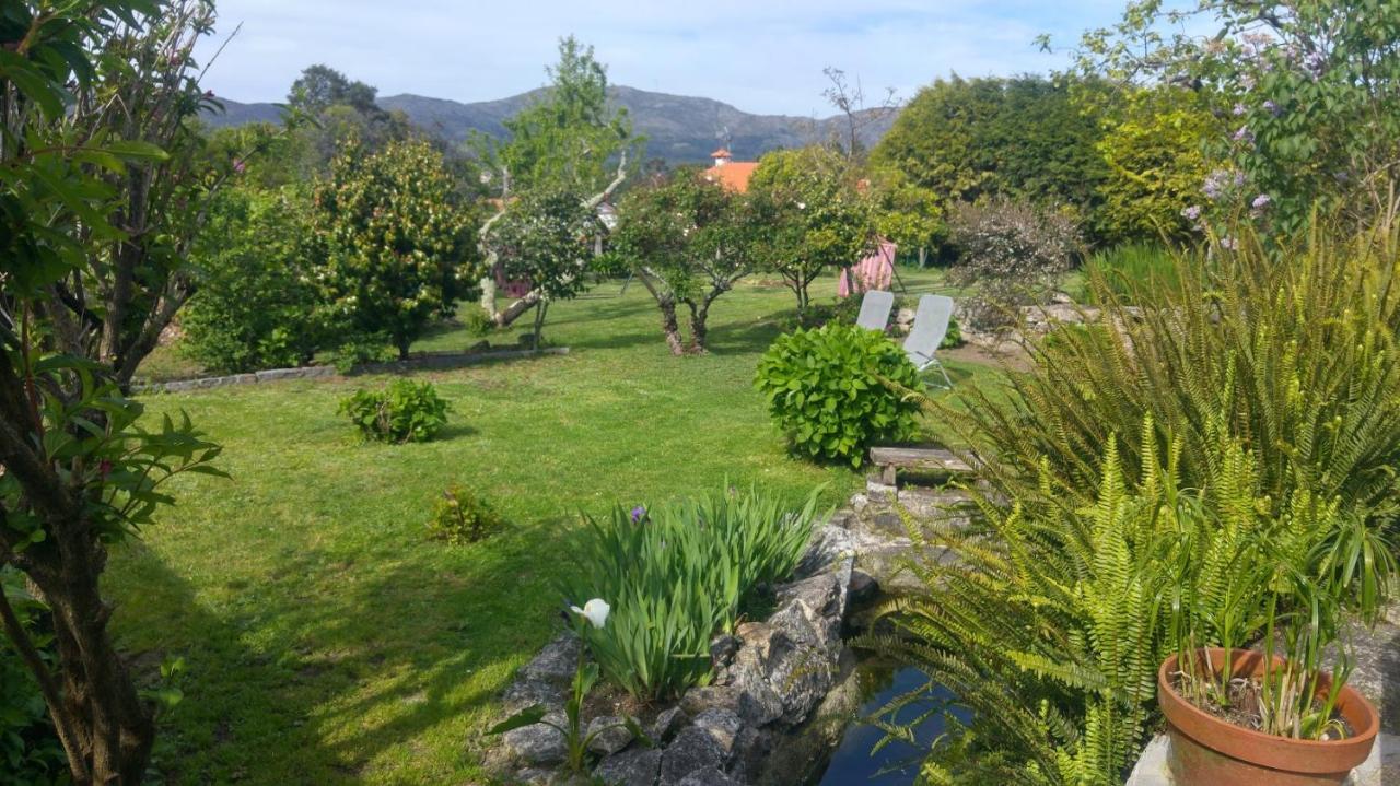 Casinha Nº461 Villa Vila Praia de Âncora Eksteriør billede