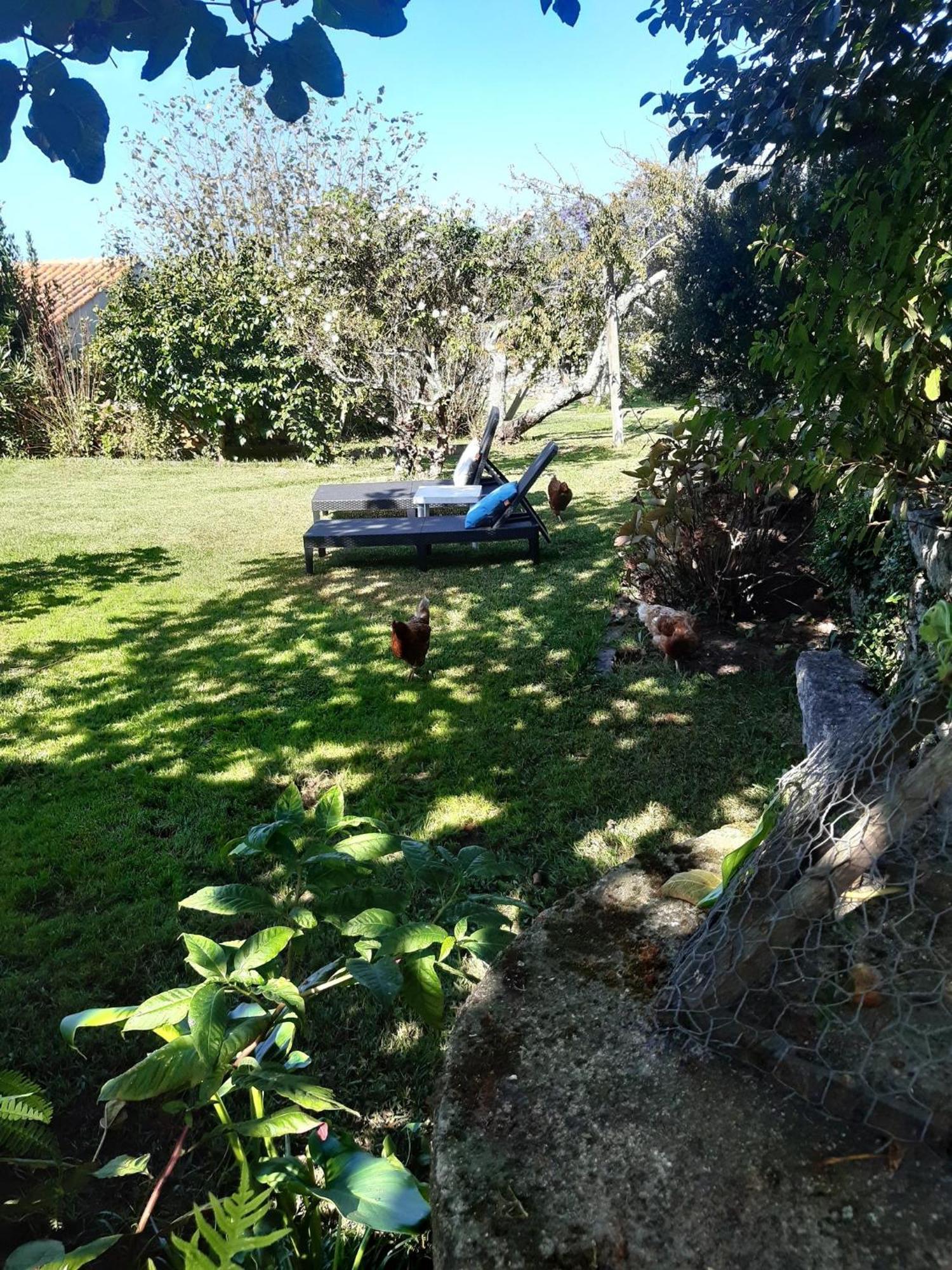 Casinha Nº461 Villa Vila Praia de Âncora Eksteriør billede